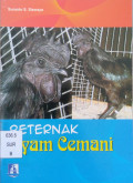 Beternak Ayam Cemani