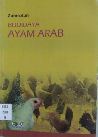 Image of Budidaya Ayam Arab